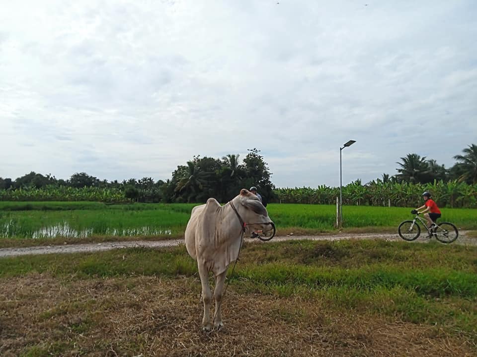 Phnom Penh Cycling To Siem Reap 6 Days